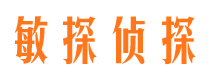 大新寻人公司